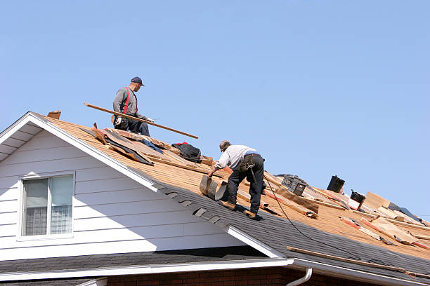 Skylights in Colfax, WA
